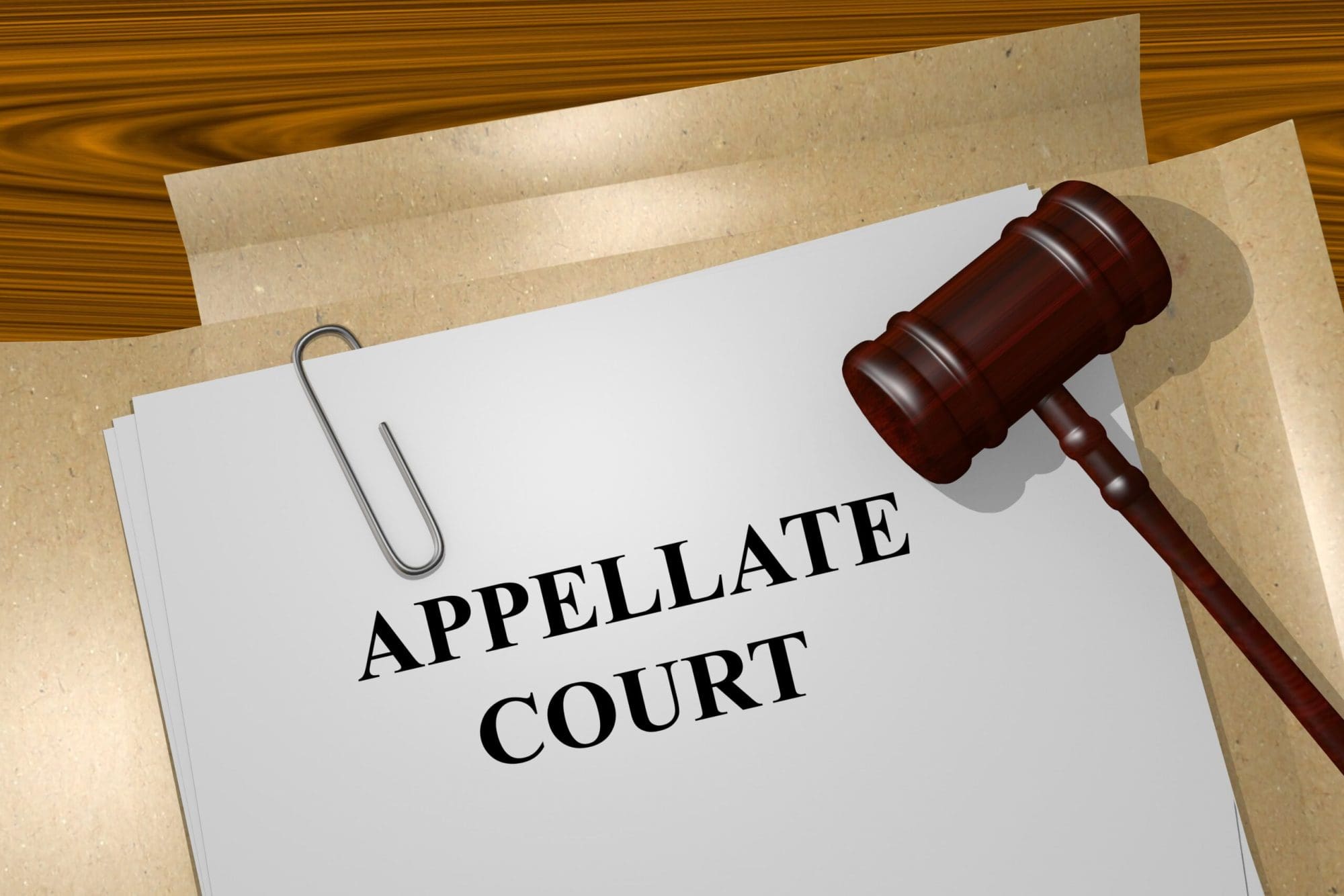 appellate court
